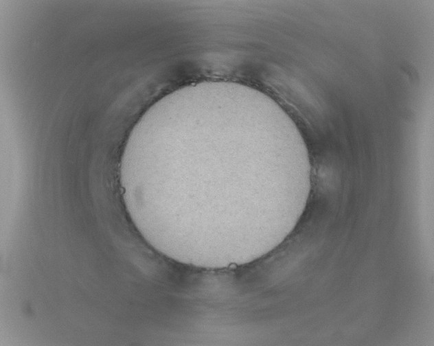 X0000115040865200911231130