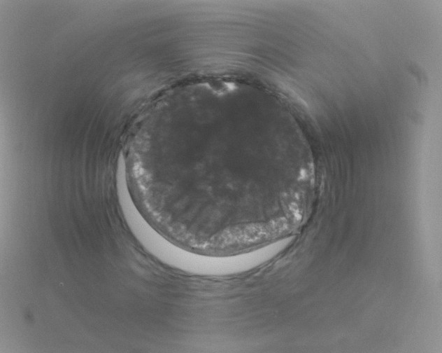 X0000115040868200911231130