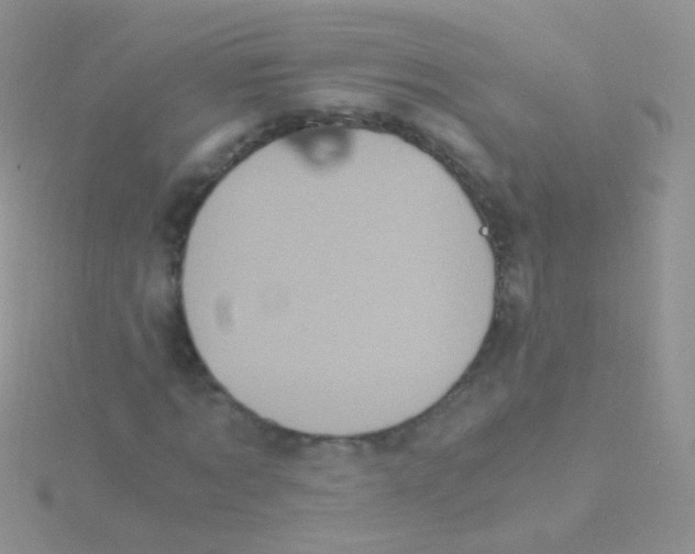 X0000115040869200911231130