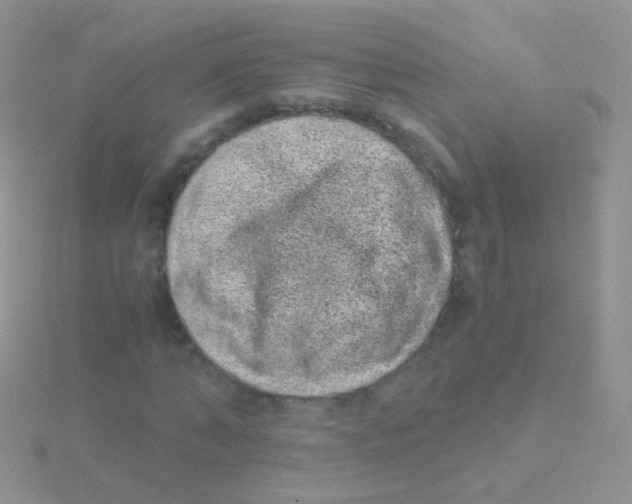 X0000115040870200911231130