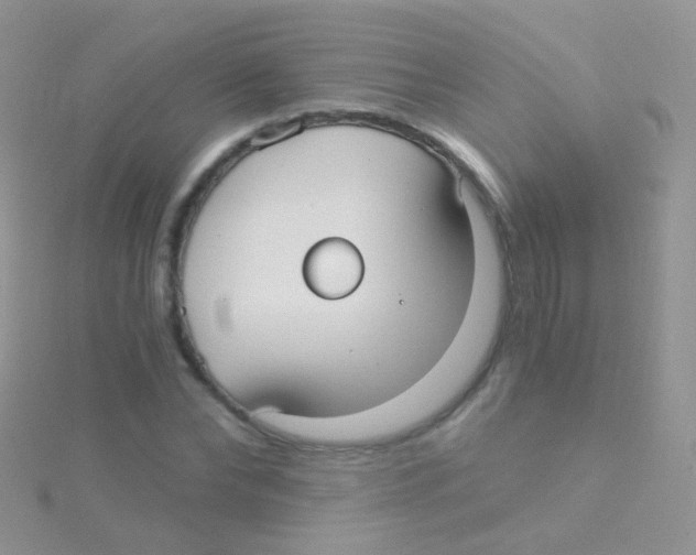 X0000115040878200911231130