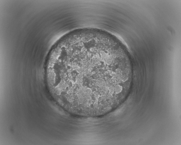 X0000115040879200911231130