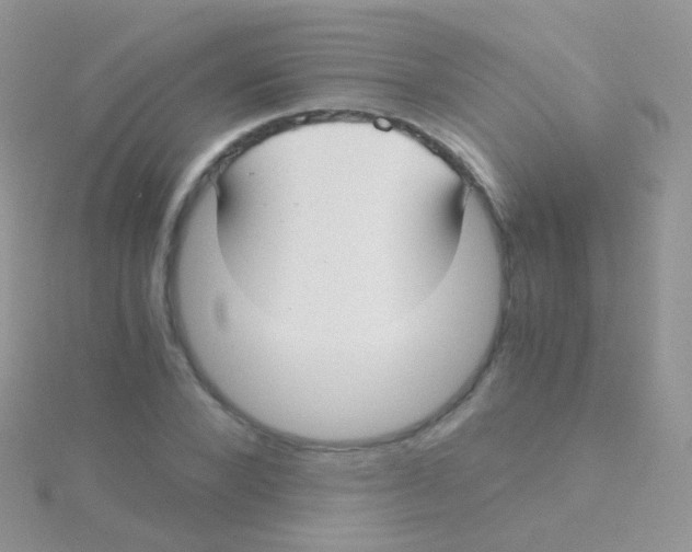 X0000115040880200911231130