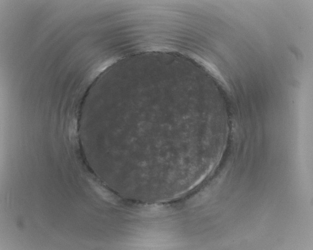 X0000115040881200911231130