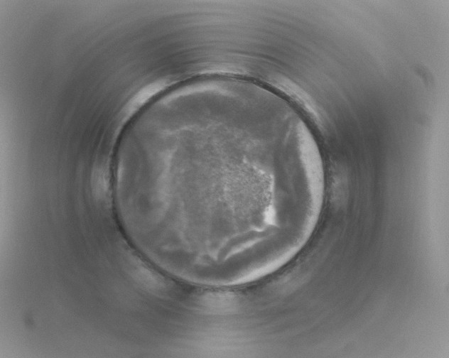 X0000115040882200911231130