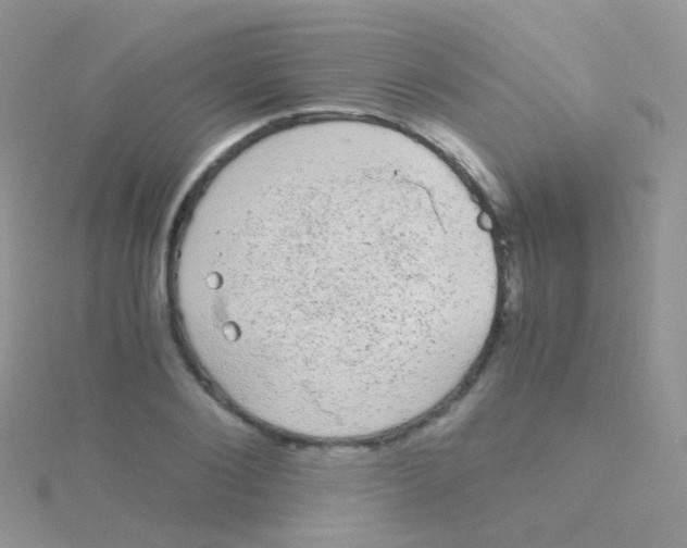 X0000115040884200911231130