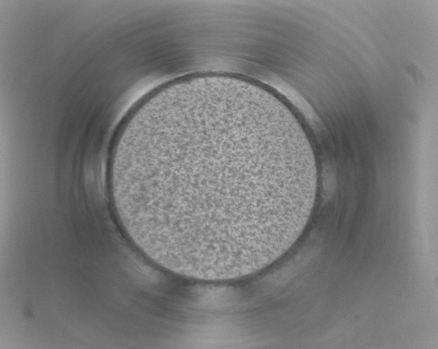 X0000115040886200911231130