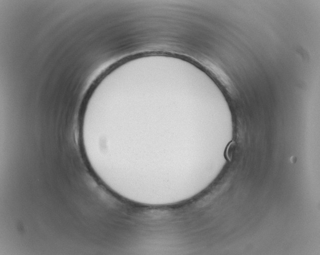 X0000115040888200911231130