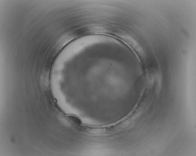 X0000115040889200911231130