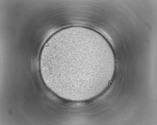 X0000115040891200911231130