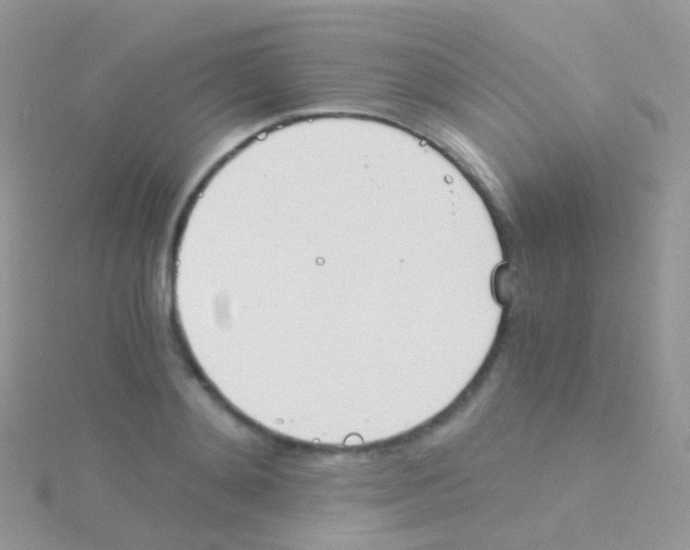 X0000115040892200911231130