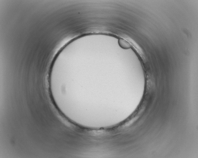 X0000115040893200911231130