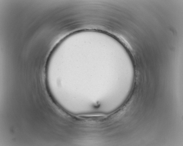 X0000115040895200911231130