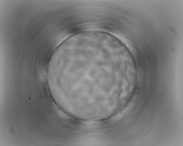 X0000115040897200911231130