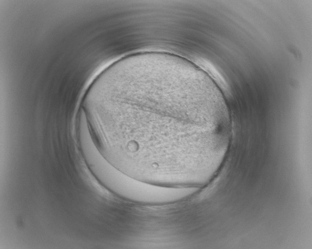 X0000115040900200911231130