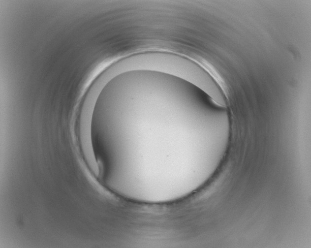 X0000115040901200911231130