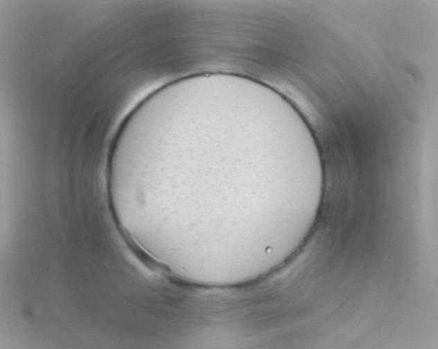 X0000115040902200911231130