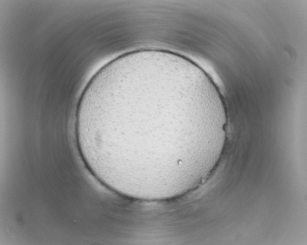 X0000115040903200911231130