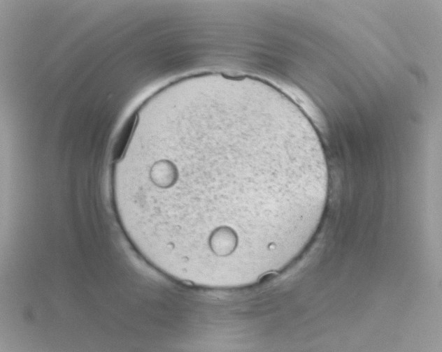 X0000115040904200911231130