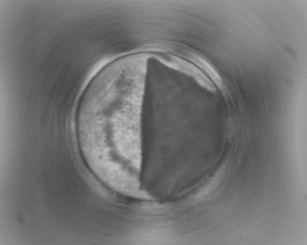 X0000115040907200911231130