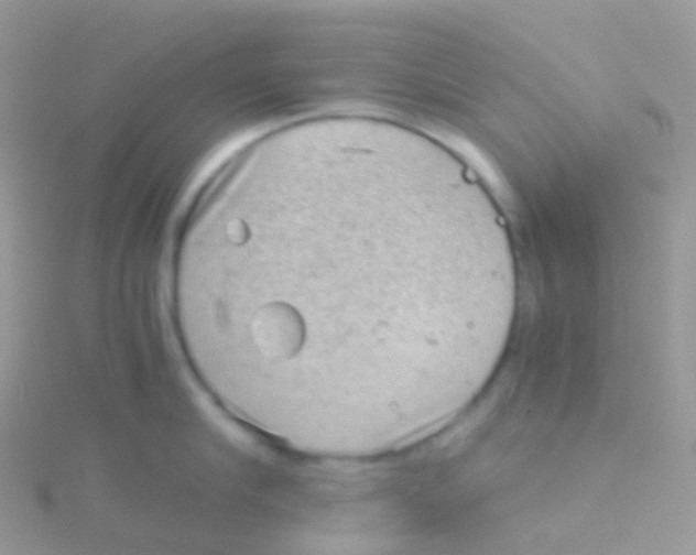 X0000115040910200911231130