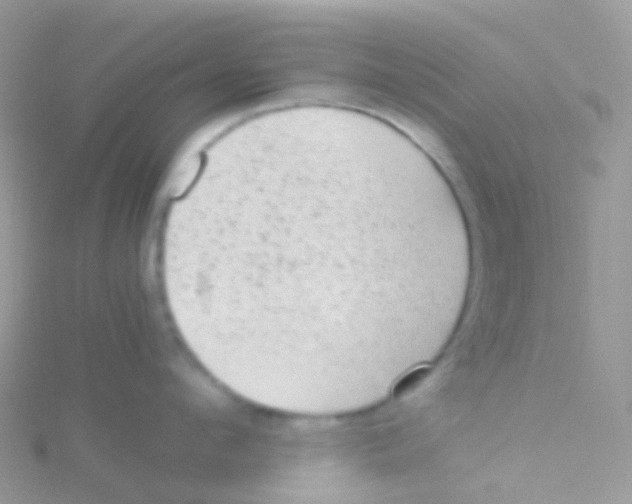 X0000115040912200911231130