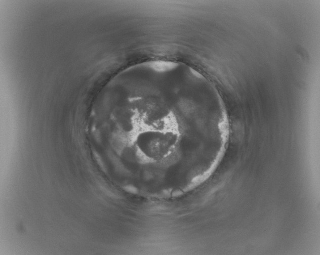 X0000115040913200911231129