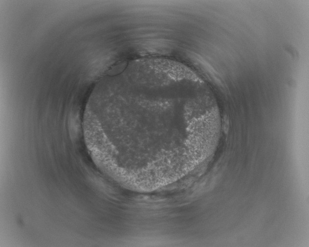 X0000115040915200911231129