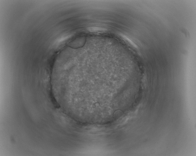 X0000115040917200911231129