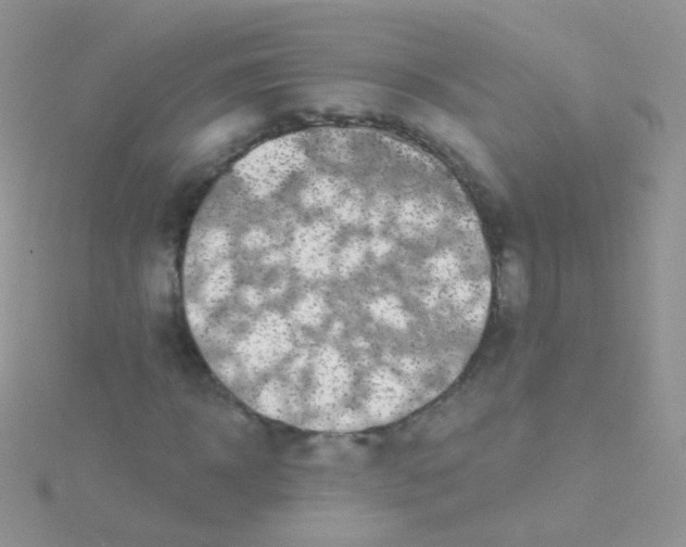 X0000115040918200911231129