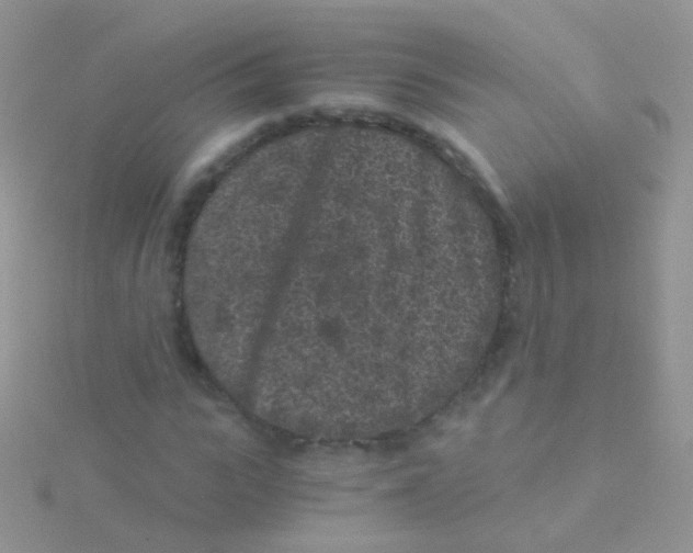 X0000115040919200911231129