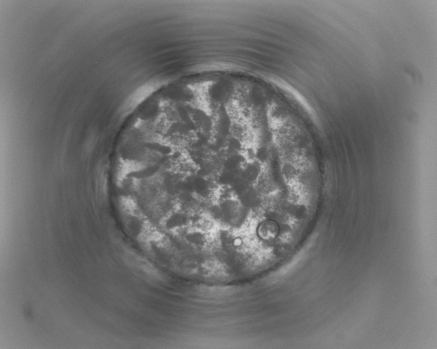 X0000115040921200911231129