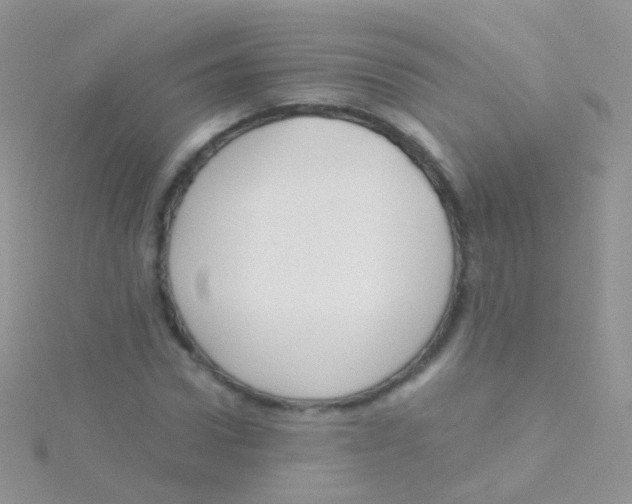 X0000115040922200911231129