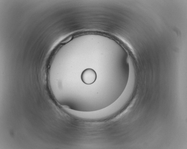 X0000115040925200911231129