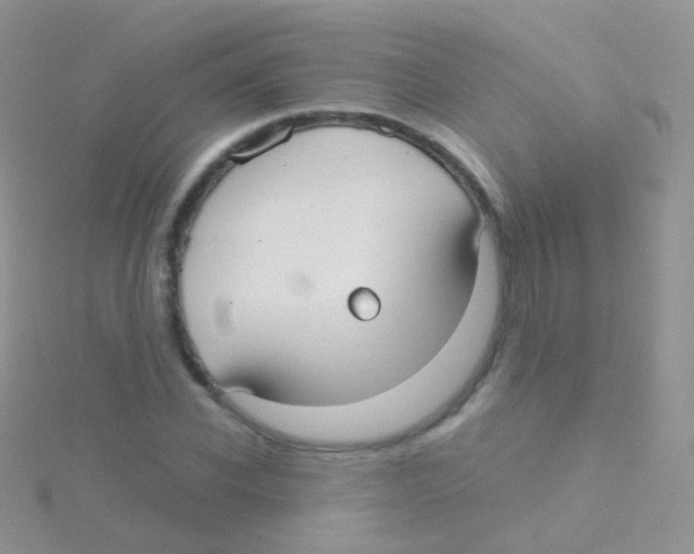 X0000115040926200911231129