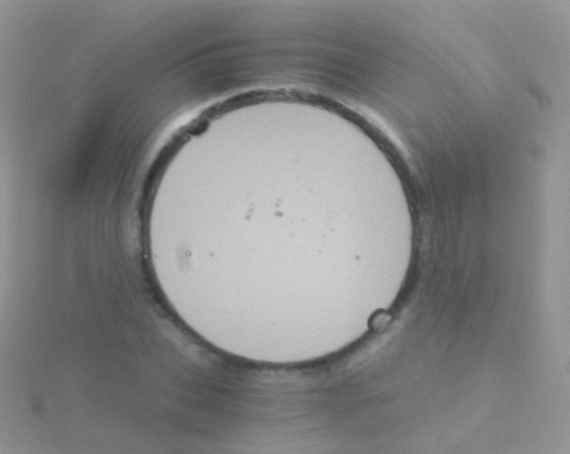 X0000115040927200911231129