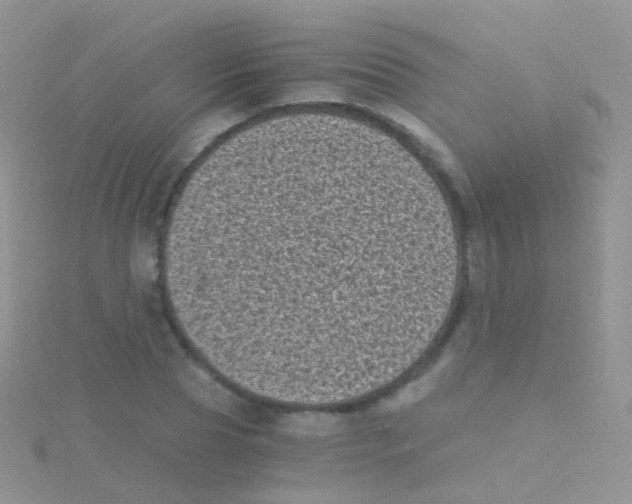 X0000115040929200911231129