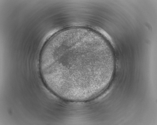 X0000115040930200911231129