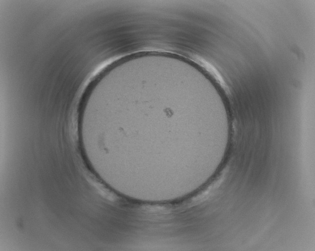 X0000115040931200911231129