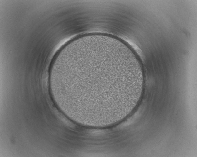 X0000115040933200911231130