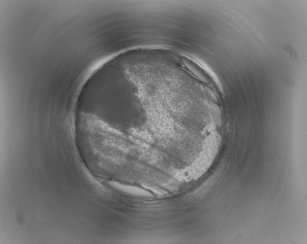 X0000115040935200911231130