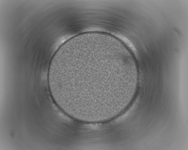 X0000115040937200911231130