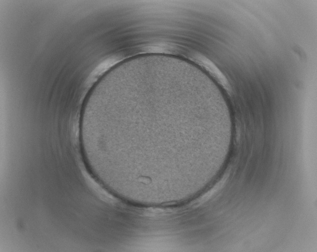 X0000115040938200911231130