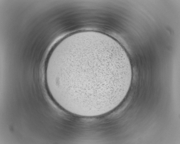 X0000115040939200911231130