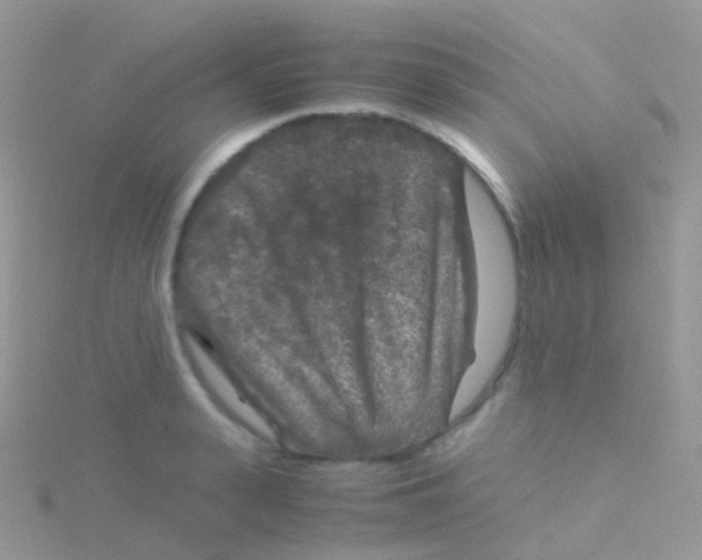 X0000115040943200911231130