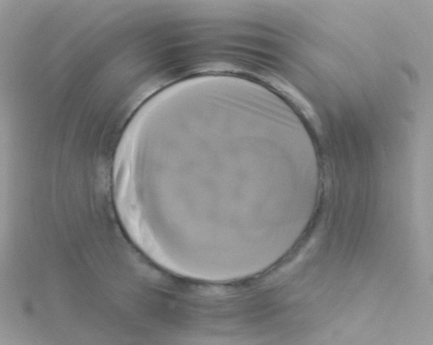 X0000115040945200911231130