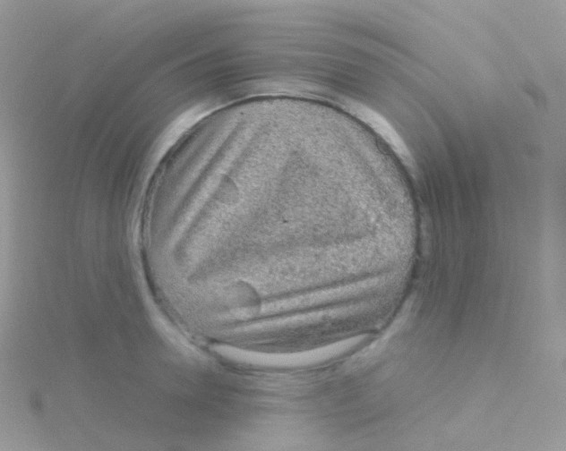 X0000115040946200911231130