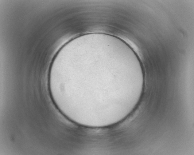 X0000115040949200911231130