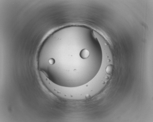 X0000115040950200911231130