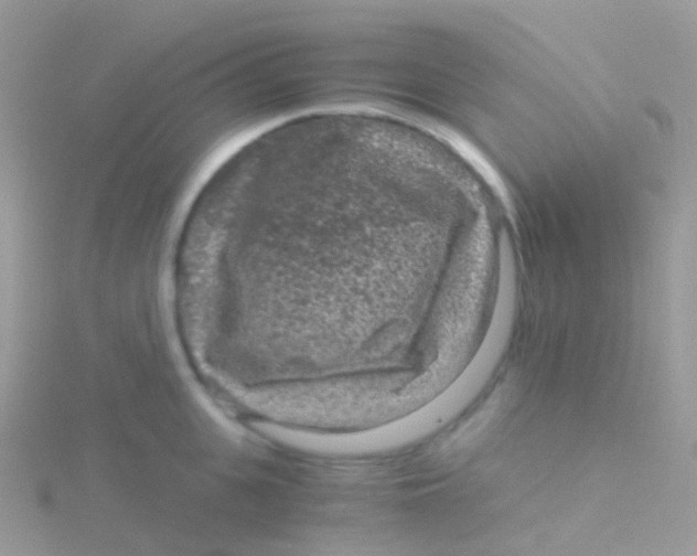 X0000115040951200911231130